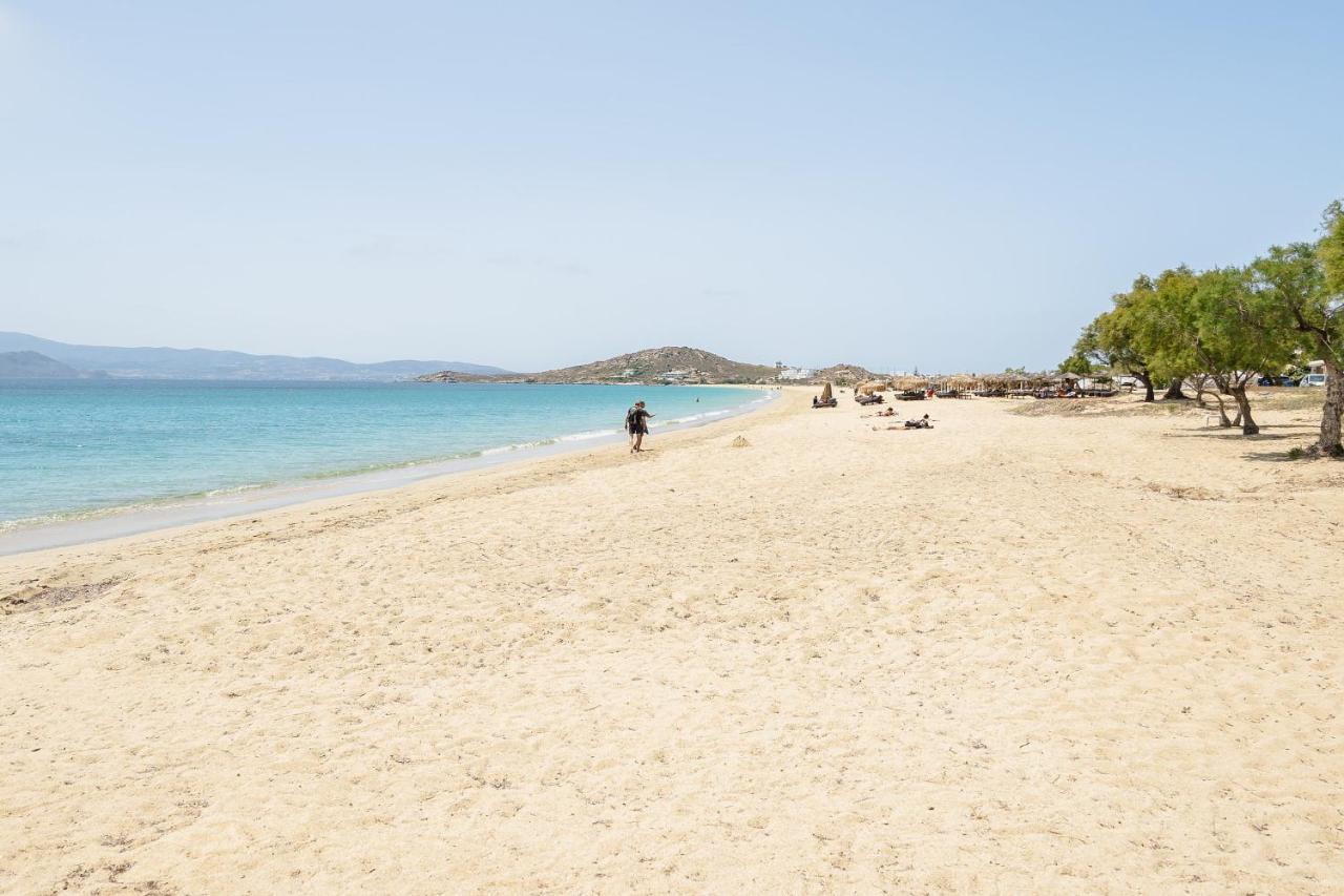 Flerianos Studios Naxos Agios Prokopios  Dış mekan fotoğraf